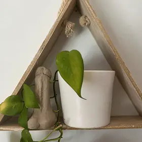 A handmade clay phallic sculpture sits next to a small white ceramic pot with a green leafy plant on a triangular wooden shelf.